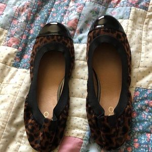6.5 Leopard Aldo Ballet Flats